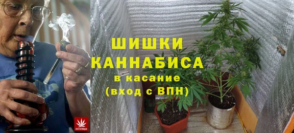 молекула духа Горнозаводск