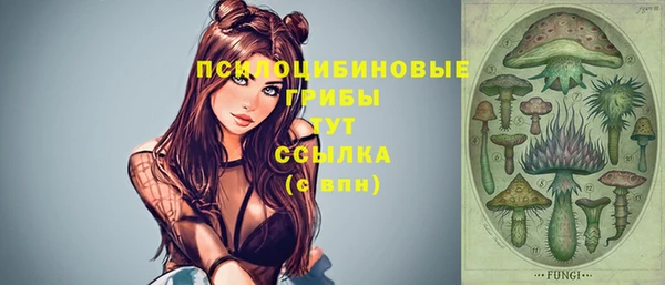 молекула духа Горнозаводск