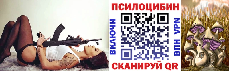 Купить где  Мегион  Псилоцибиновые грибы Magic Shrooms 